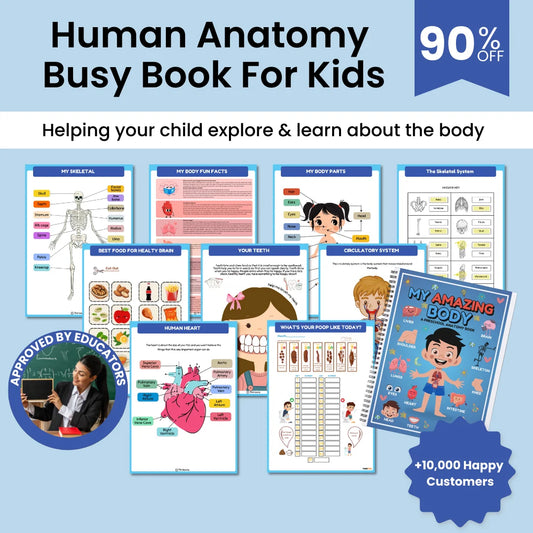 Human Anatomy Busy Book Preschool Worksheets - Homeschool Resources | Learning Toddler Activities
