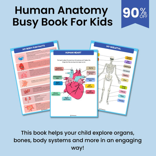 Human Anatomy Busy Book Preschool Worksheets - Homeschool Resources | Learning Toddler Activities