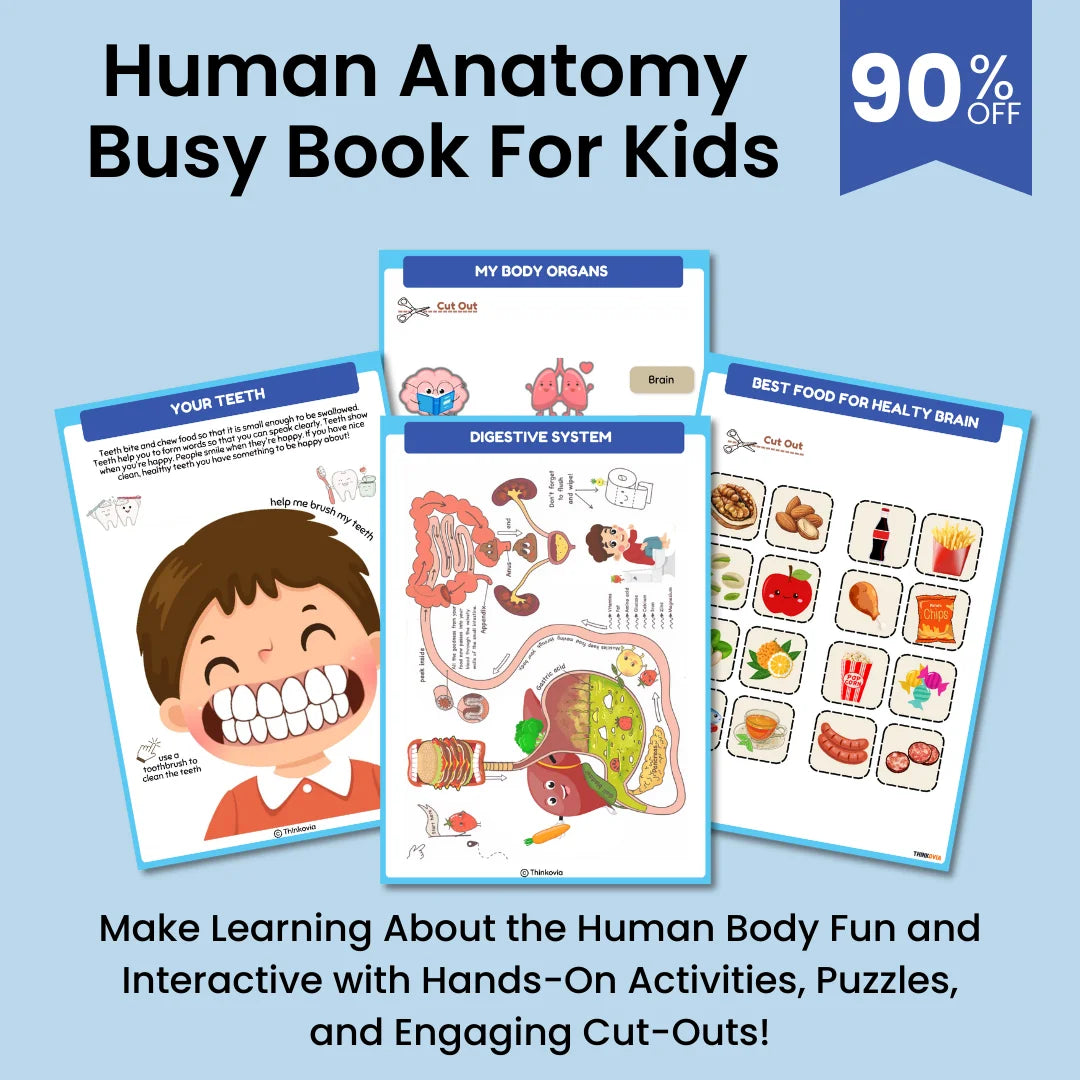 Human Anatomy Busy Book Preschool Worksheets - Homeschool Resources | Learning Toddler Activities