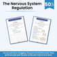 The Nervous System Regulation Workbook: A Polyvagal Theory Workbook for Emotional Balance & Resilience | Somatic Exercises & Vagus Nerve Therapy